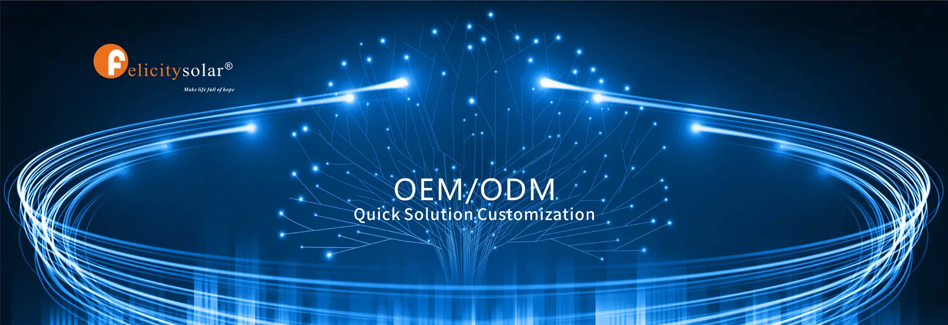 OEM
